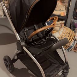 Delta Children - Revolve Stroller 