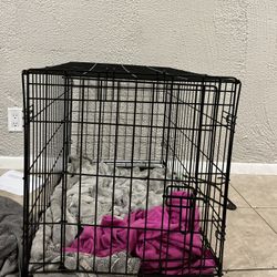 DOG CRATE 30 IN