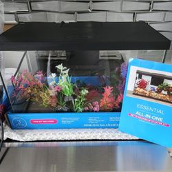 3 Gallon Fish Tank 