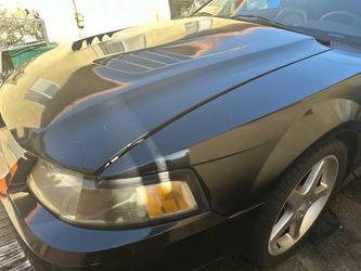 2001 Ford Mustang SVT Cobra