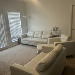 Living-room Set Sofa /couch/chair  (used)