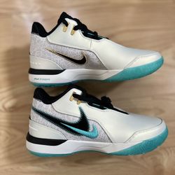Nike Zoom LeBron James NXXT Gen AMPD Liverpool Basketball Shoes - Size 9