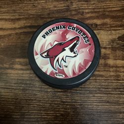 Phoenix Coyotes Hockey Pick