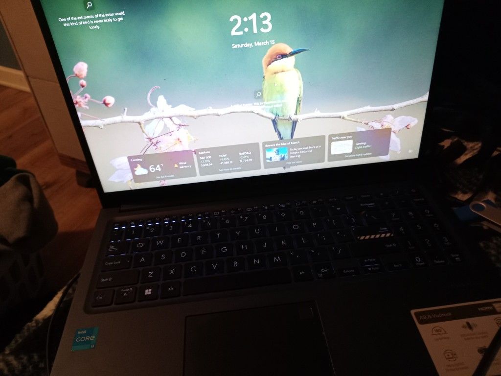 ASUS vivobook