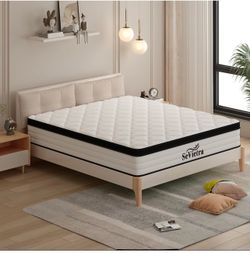 Sievetra Queen Mattress, 12 Inch Queen Size Mattress in a Box, Upgraded Hybrid Mattresses Pocket Springs, Motion Isolation, Pressure Relief, Medium Fi