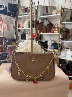 Coach Teri Mini Crossbody Bag