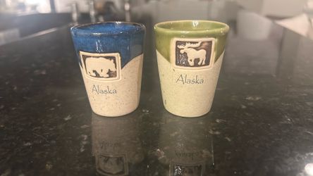 Beautiful set of two Alaska shot glasses. Great Christmas gift idea!