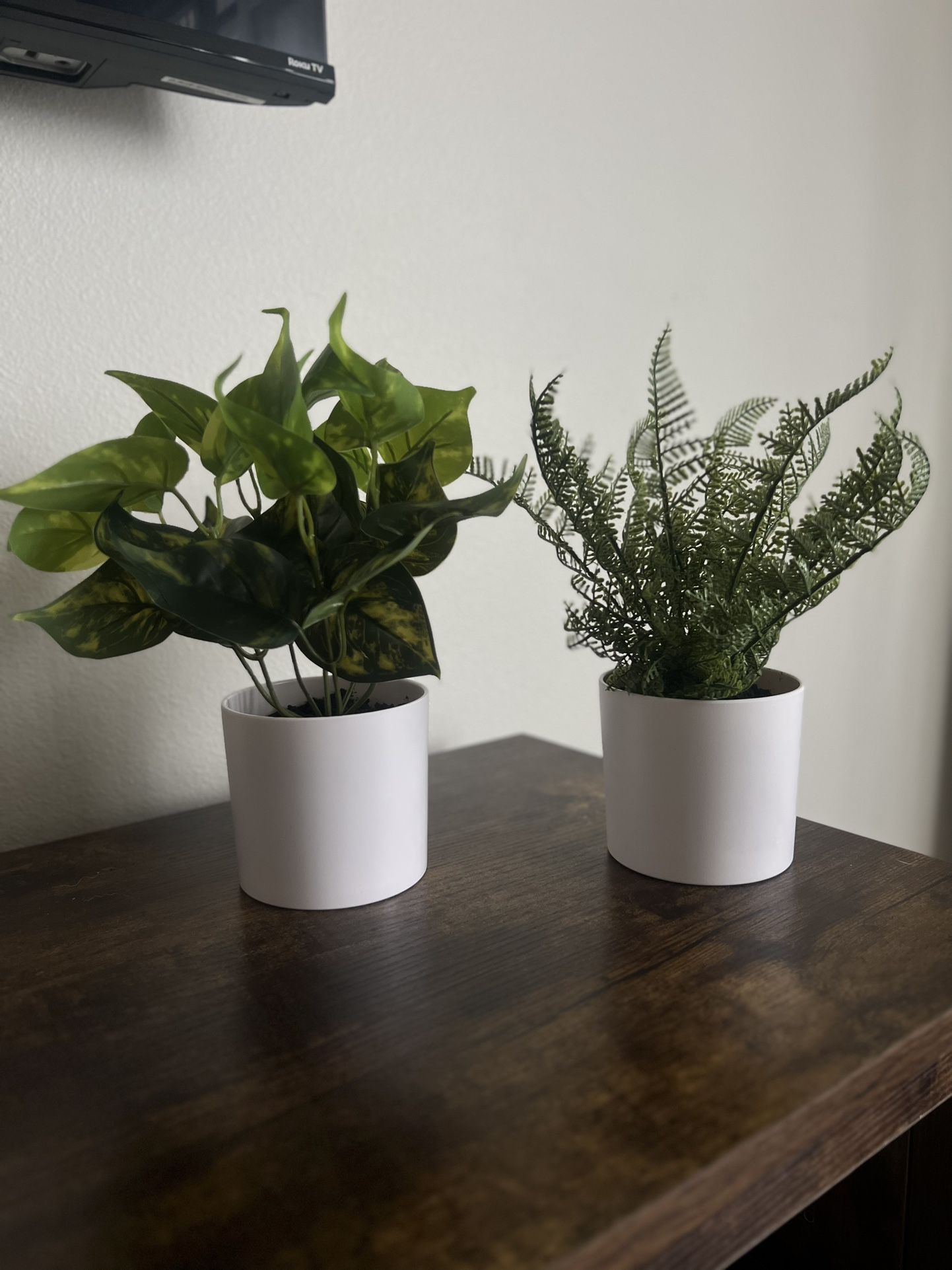 Two Fake Decorative Plants 