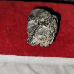 Meteorite is Palm Sized
