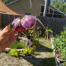 Brand new never used Foster Grant Summer shades