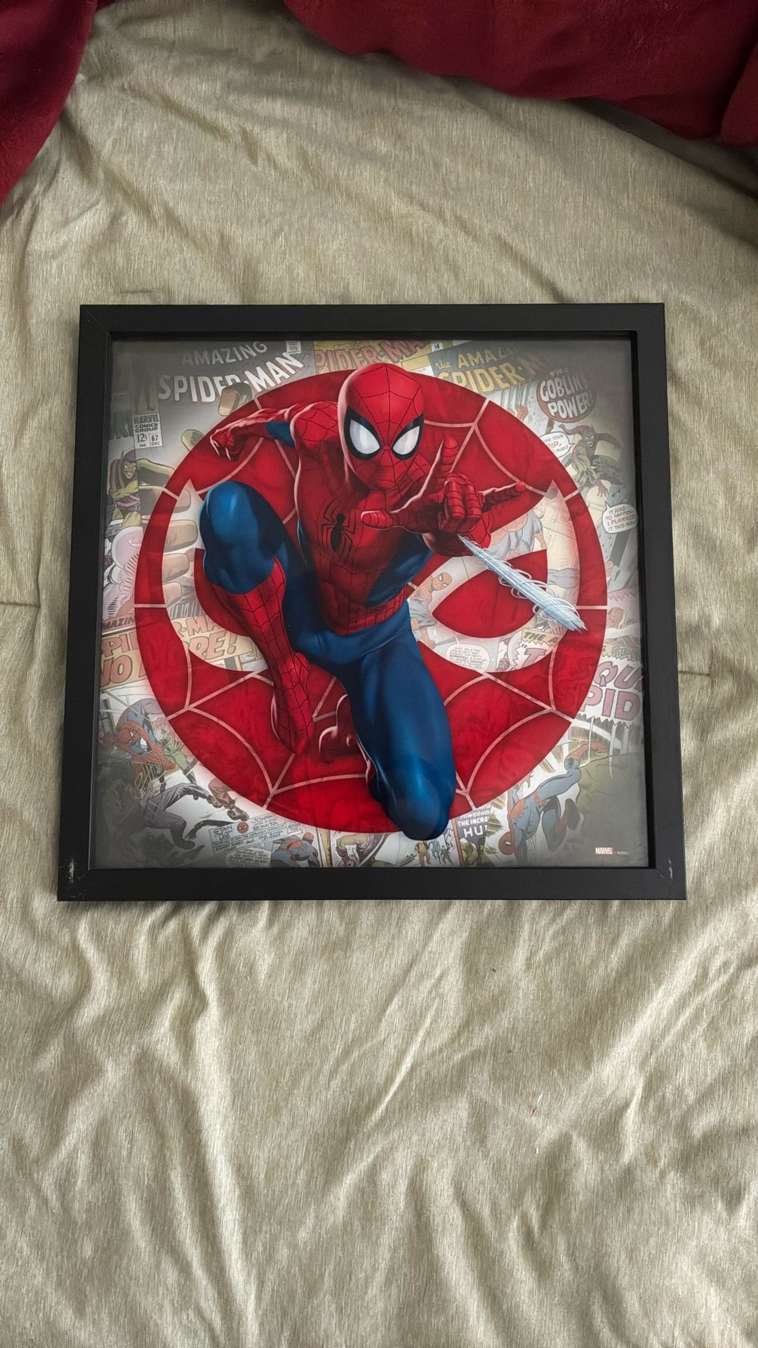 Spider-man Picture Frame