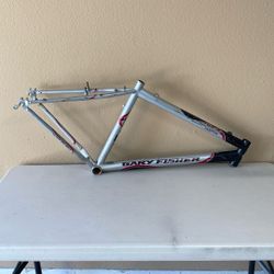 Mountain Bike Frame (17”)
