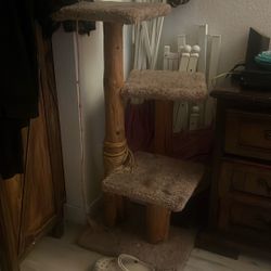 Cat Tree 
