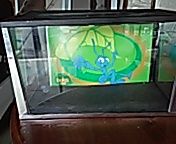 Cage. For fish