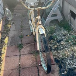 Cruise bike