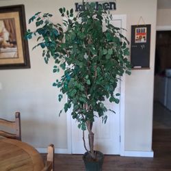 Artifical  Tree , Tree, Artifical Plant, 8 Ft , Tall 