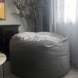 Bean Bag/converts To Full Size Bed