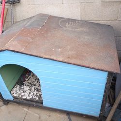 Dog House For  35 Or Best Offer 