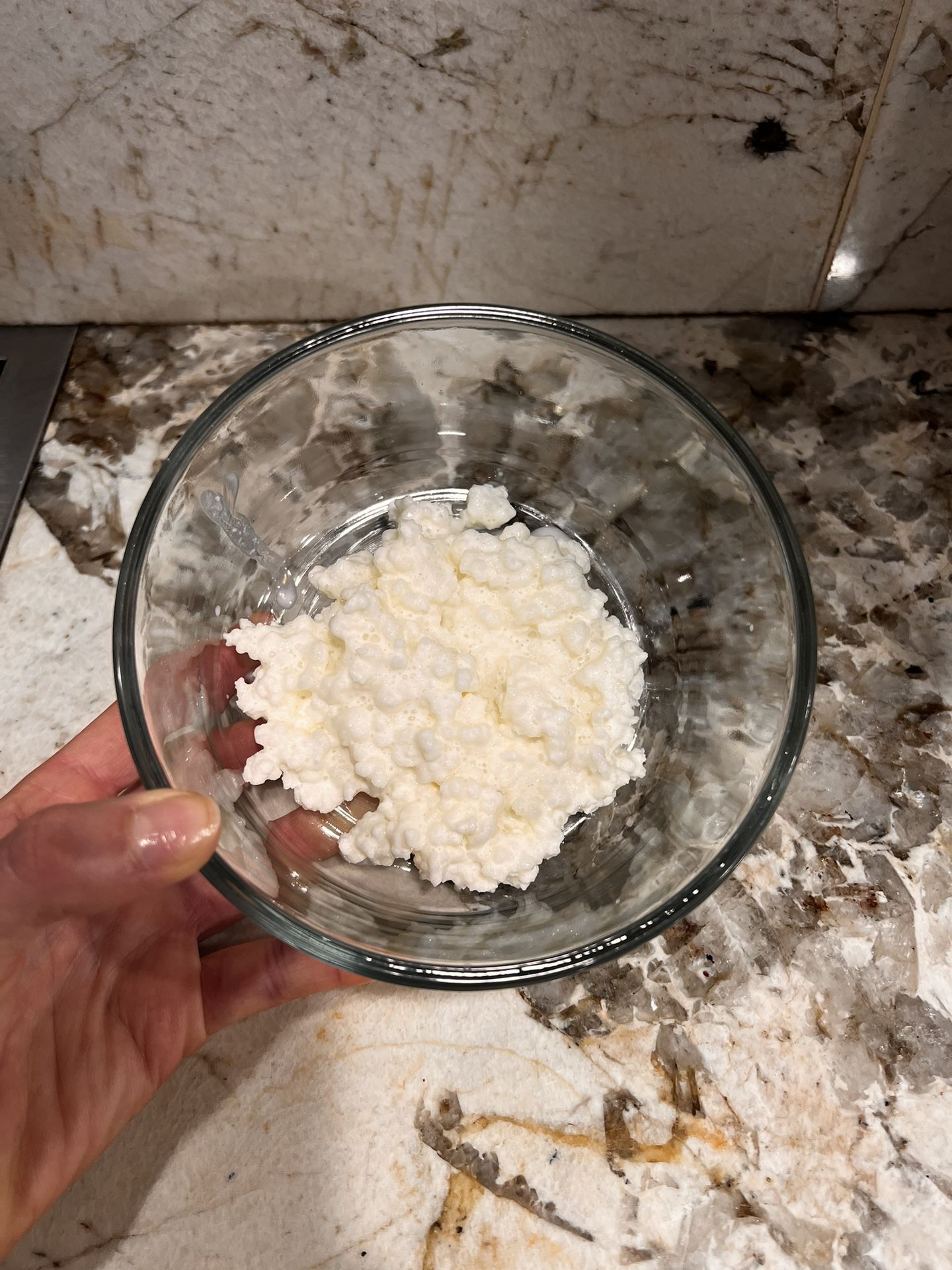 Milk Kefir Grain