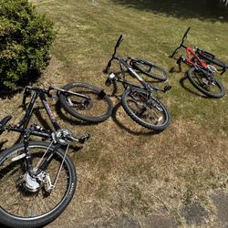 3 Mountain Bikes