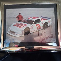 Dale Earnhardt Jr Autographed  photo