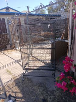 Large rolling bird cage