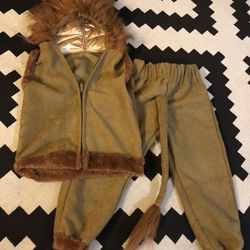 Lion costume