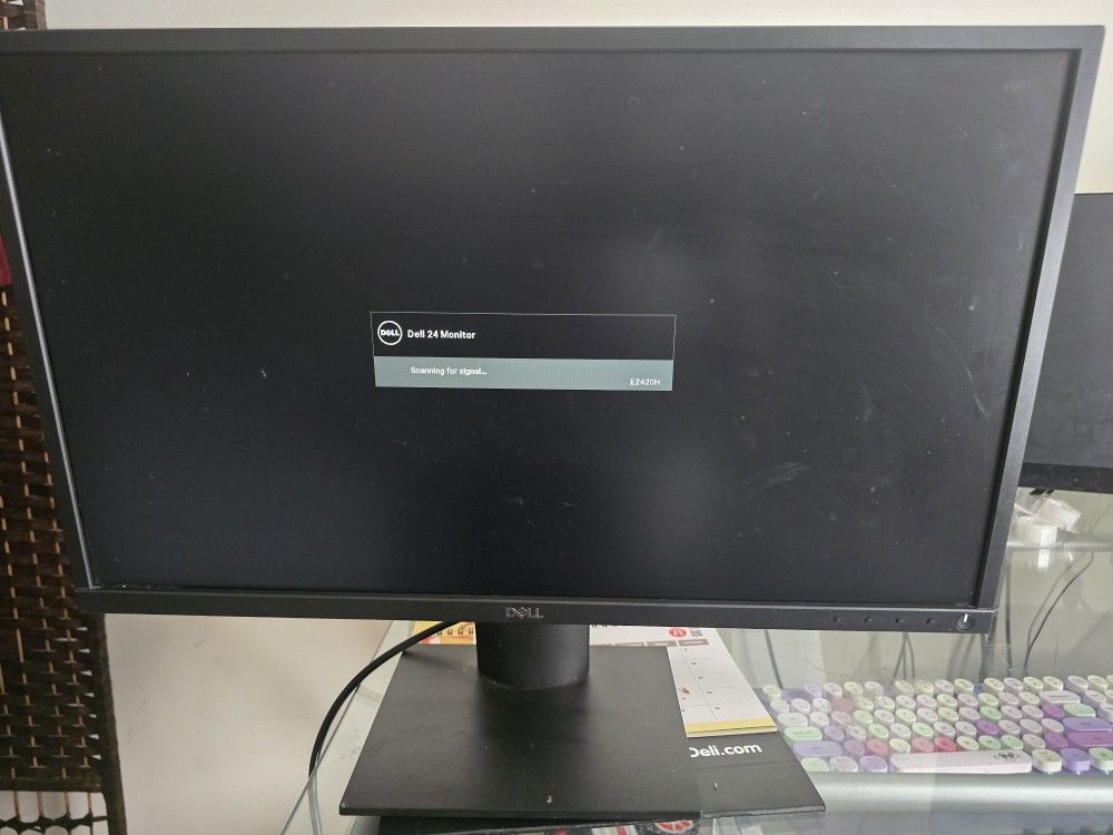 Dell 24 Inch Monitor