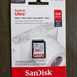 SanDisk 256 Gb SD Card 