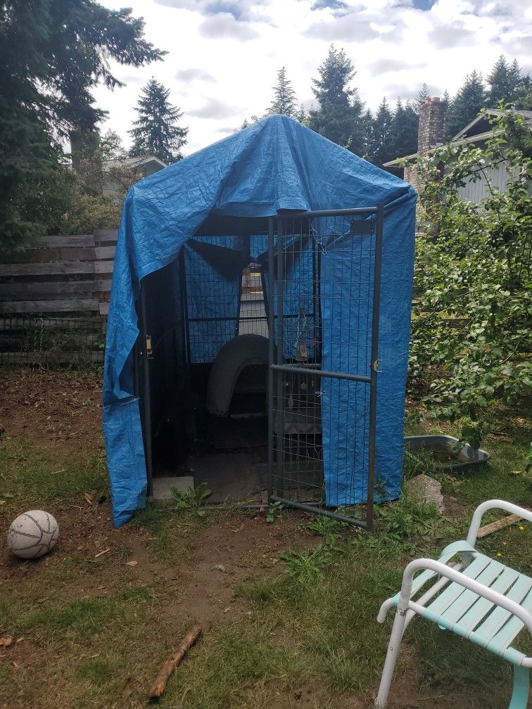 Dog Kennel