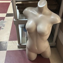 Women’s Torso Mannequin, Used