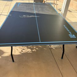 Ping Pong Table
