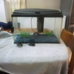 Fish Tank (Still Available)