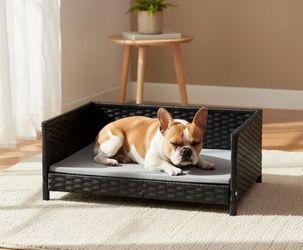 pet bed is ideal