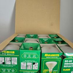 New Indoor Flood Bulbs