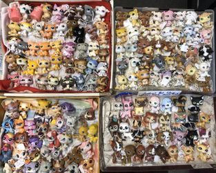 LPS Littest pet shop shorthair cat , dogs collie, Great Dane, beagle, Persian, lots of 2004 and up