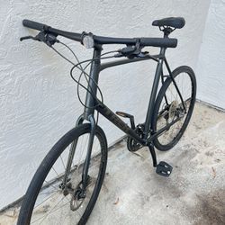 Trek hotsell x2 bike