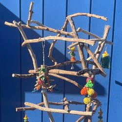 African Grey / Amazon Parrot Perch Tree… Artsy n Funky Design , Looks Great! A Super Socializer!! 👍🏼👍🏼