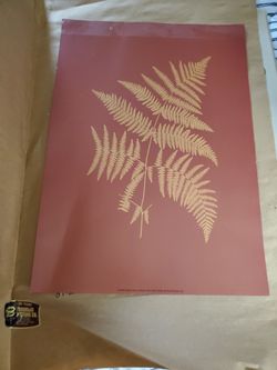 Sepia Fern On Brick