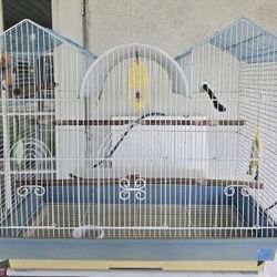 BIRD CAGE