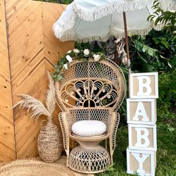 Peacock Chair For ‼️B00k!ngONLY‼️