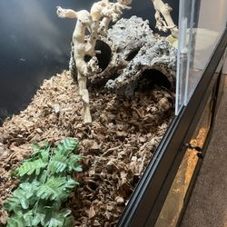 PVC Reptile Enclosure With Extras