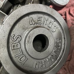 Weight 10 Lbs (1) Only