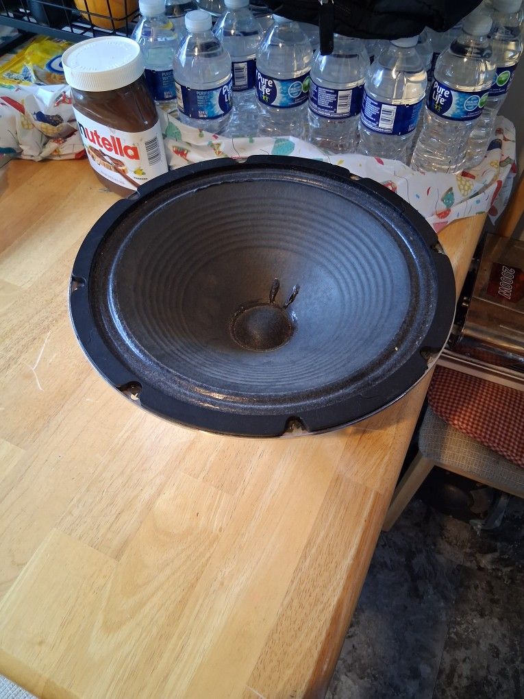 Speaker