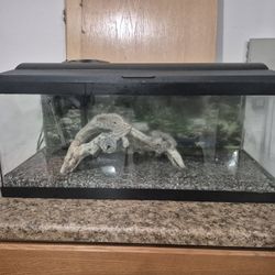 20 Gal Long Aquarium/Fish Tank 