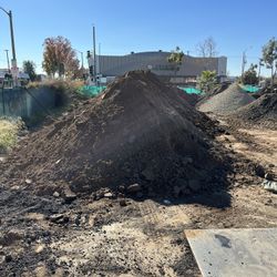 Dirt Free Dirt