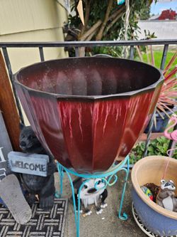 Flower Pot