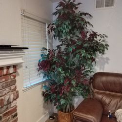 Fake Plant