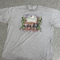 MLB spring training graphic tee size 2xl open to offers