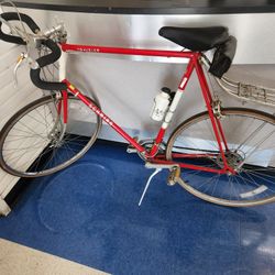 Vintage Bike Schwinn Traveler